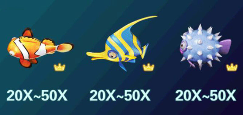 5 Dragons Fishing Game Payouts