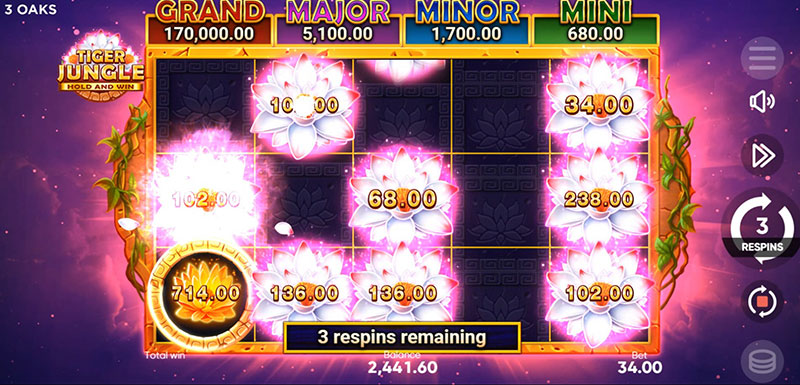3 Oaks Tiger Jungle Slot - Collect Symbol