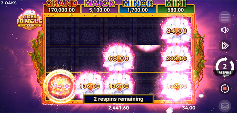 3 Oaks Tiger Jungle Slot - Total Bonus