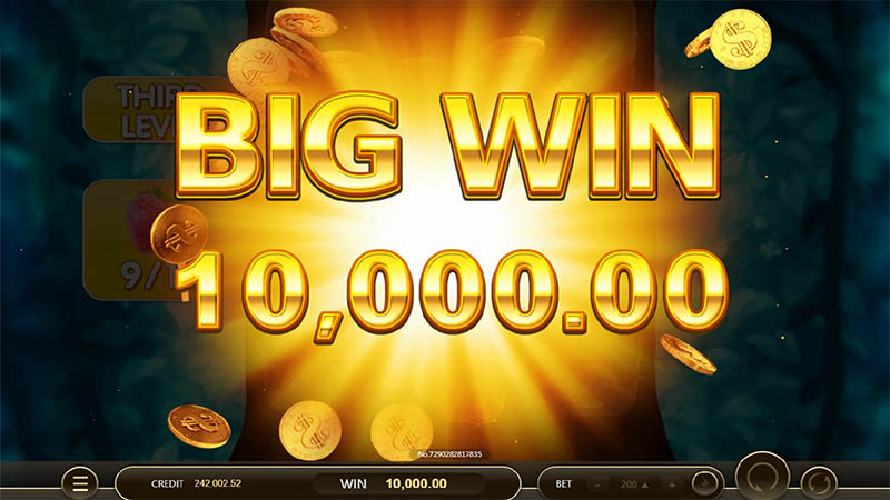 JDB Birds Party Slot Machine
